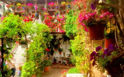 Guía completa para disfrutar lo mejor de los Patios de Córdoba 2026: fechas, rutas, mapa y horarios