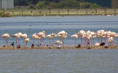8 lugares de Andalucía para visitar y perderte en Primavera